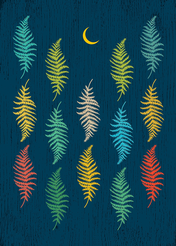 Fourteen Leaves by The Crescent Moon