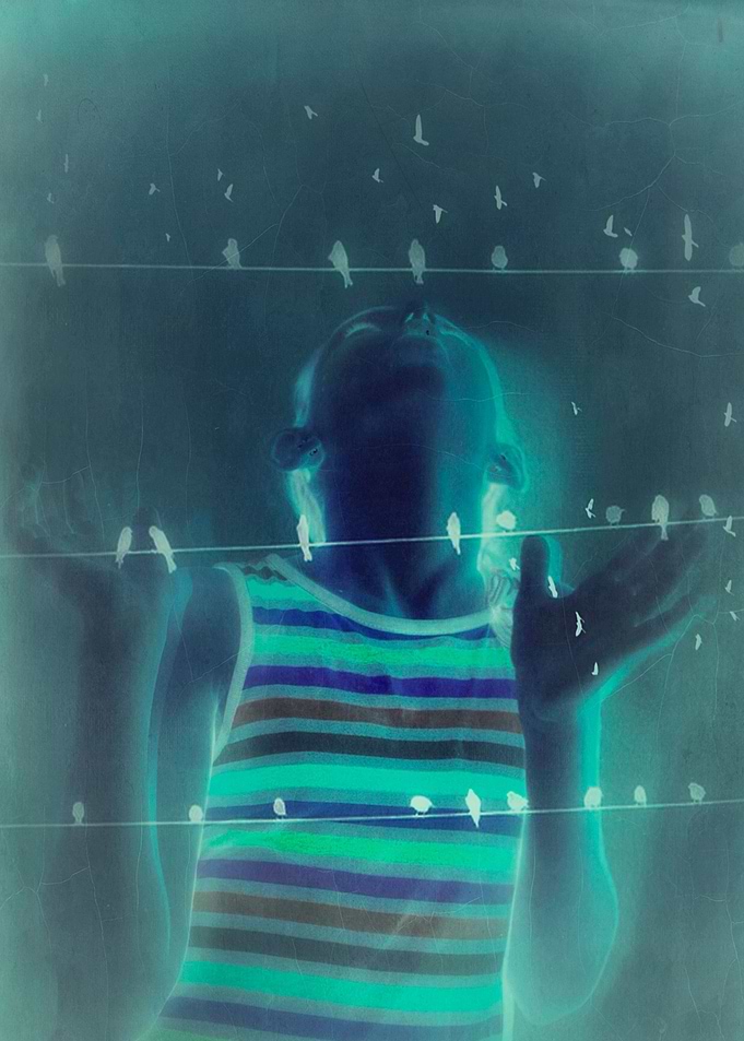 Blue Dreams Artistic Color photograph