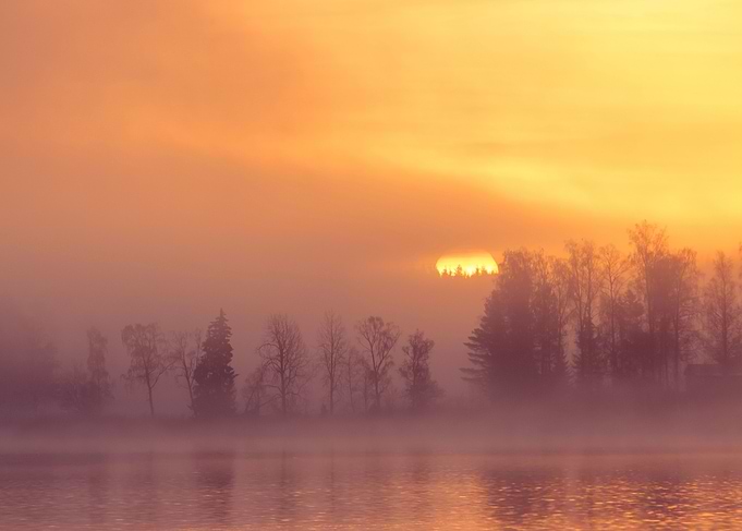 Foggy sunrise by the lake