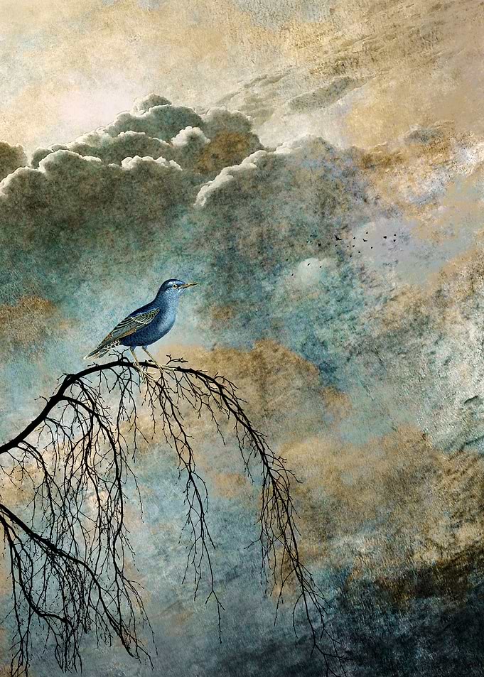 HEAVENLY BIRD II