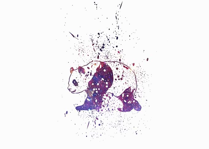 Panda Galaxy Splatter