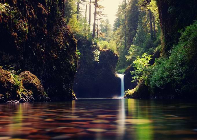 Forest Waterfall