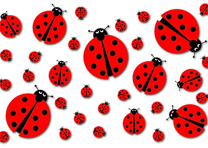 Many Ladybugs Shadows Background image with many differ ...
