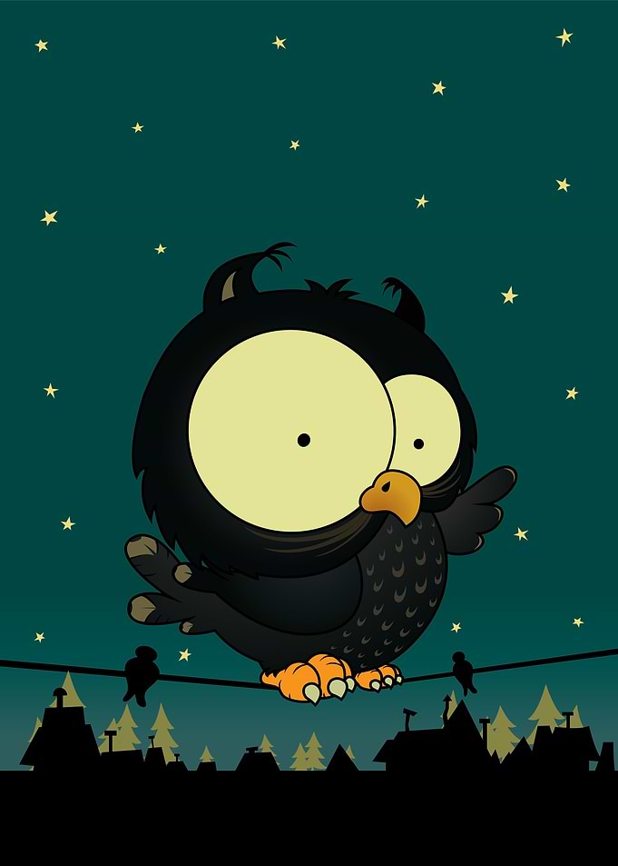 Little owl