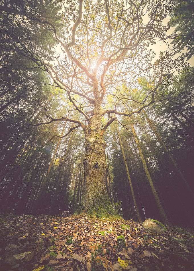 The taller we are. The harder we will eventually fall.