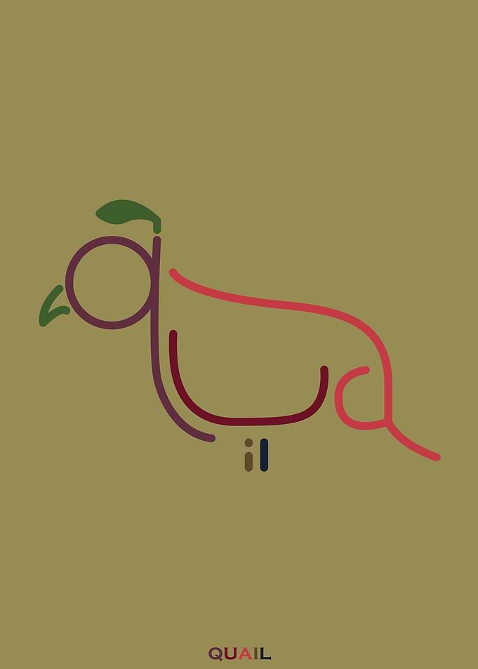 q- quail