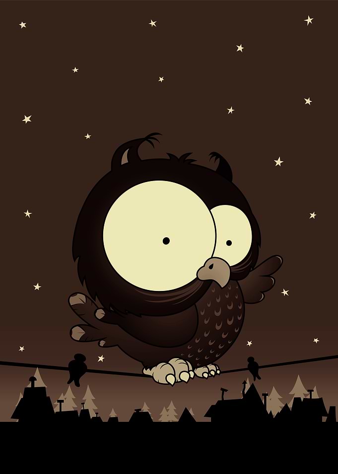 Little owl v2