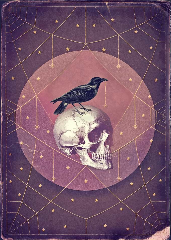 Crow and Skull Collage