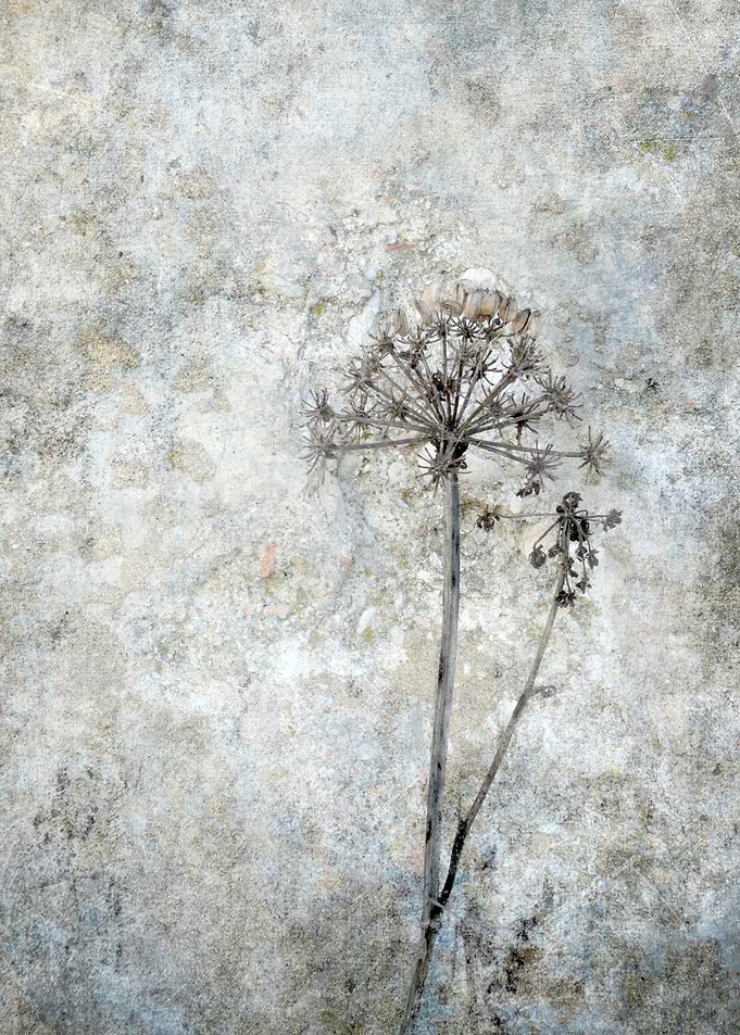 On the Wall