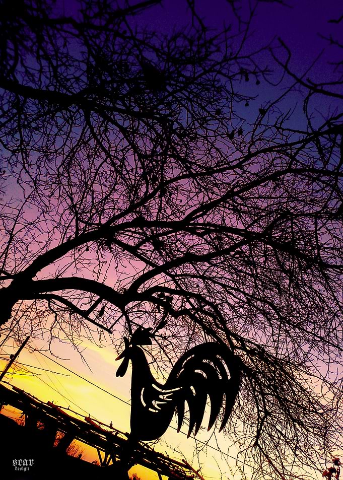 At Dawn