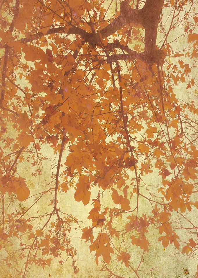 Fall