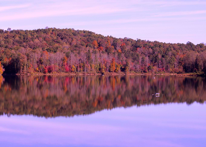 Fall at the Lake