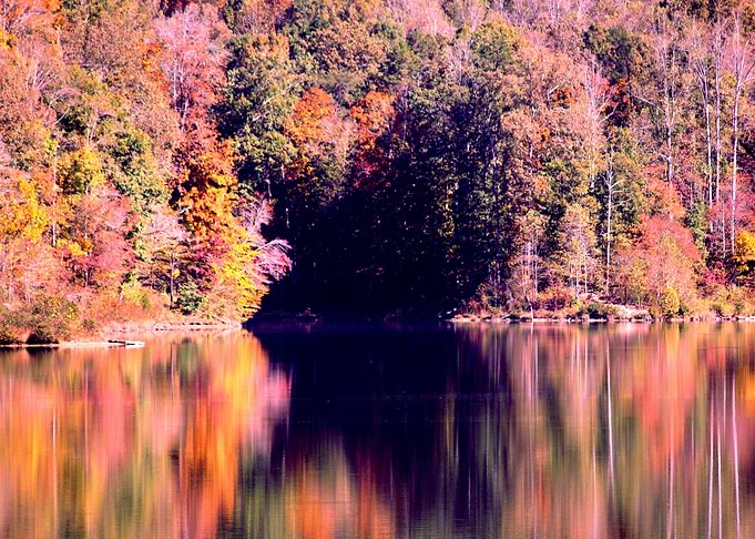 On The Lake