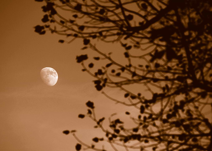 Hunters Moon