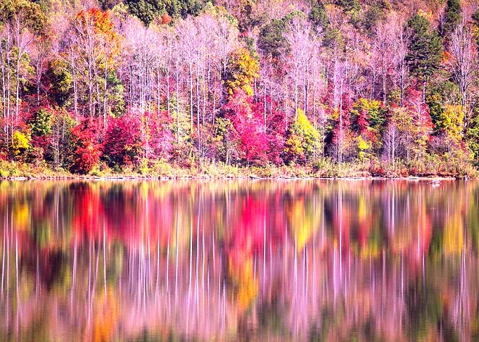 Reflection on the Lake