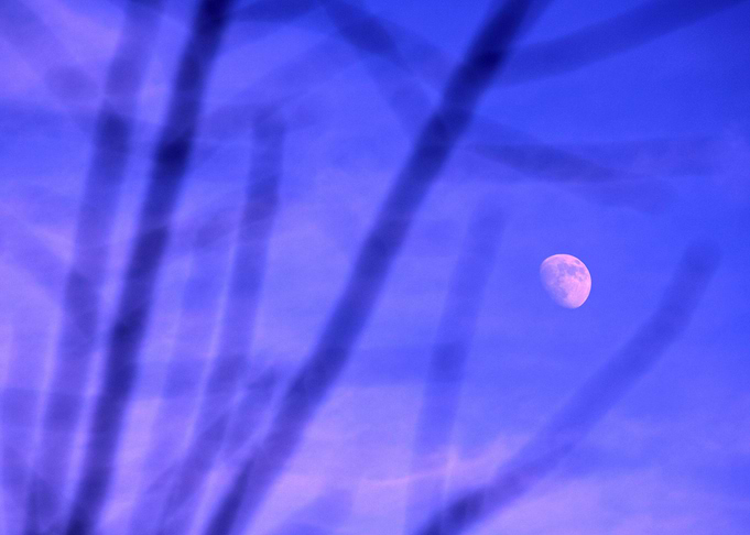 Moonrise