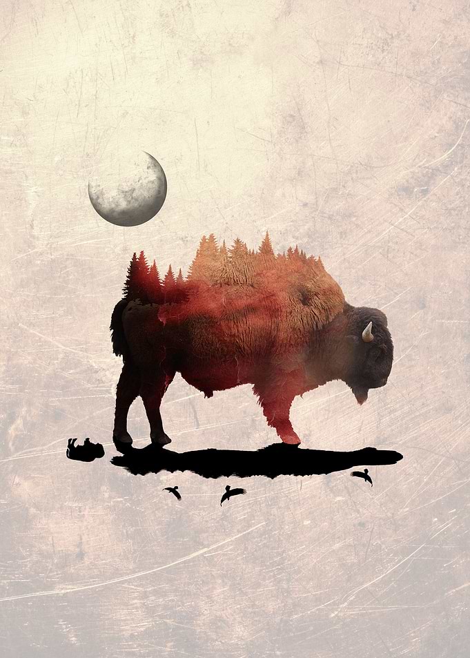 environmental surrealism