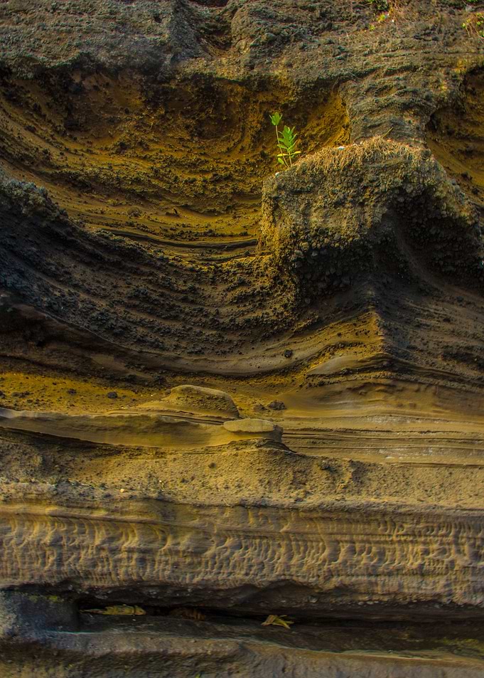Beach Wall texture