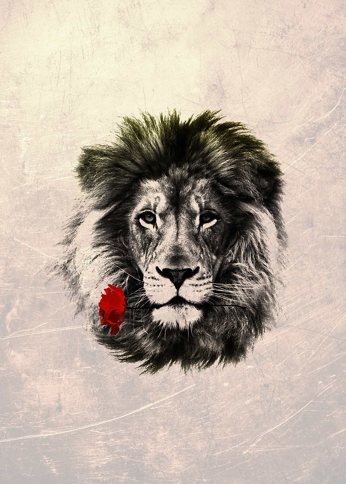 romantic lion head