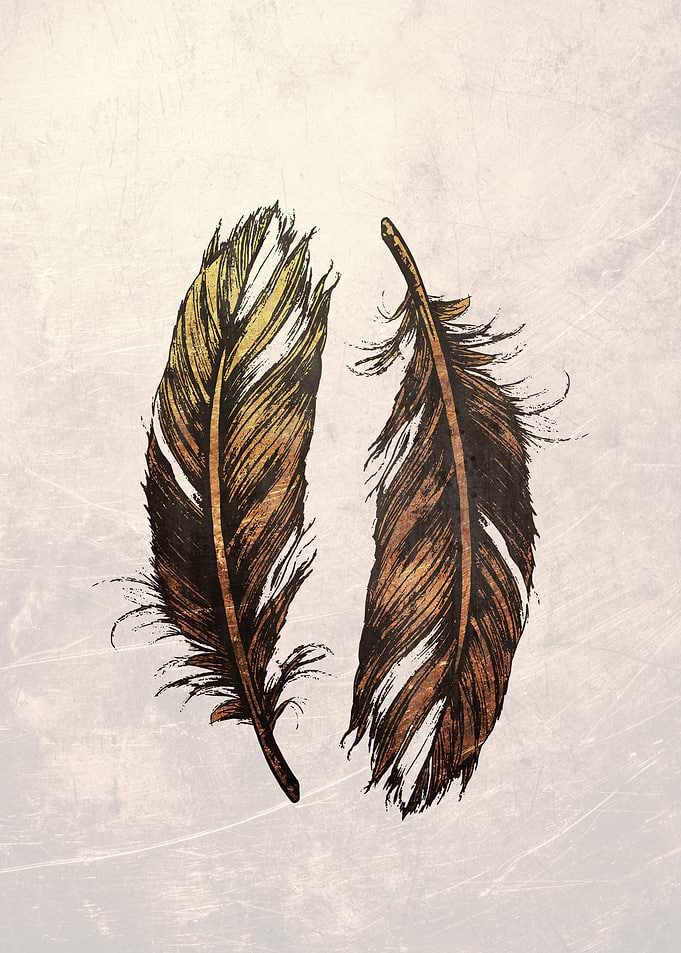 feathers