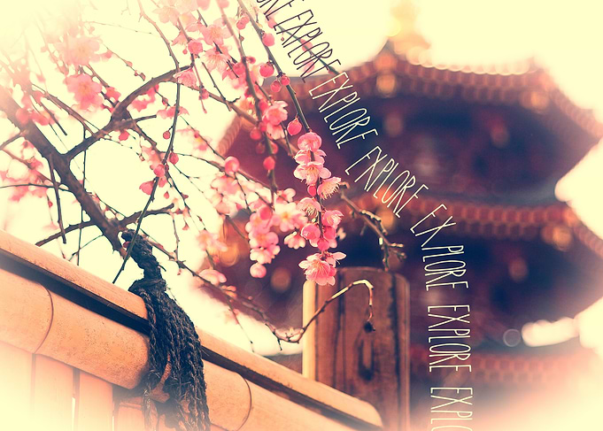 Explore Plum Blossoms Pagoda Bamboo Fence - A lovely Sp ...