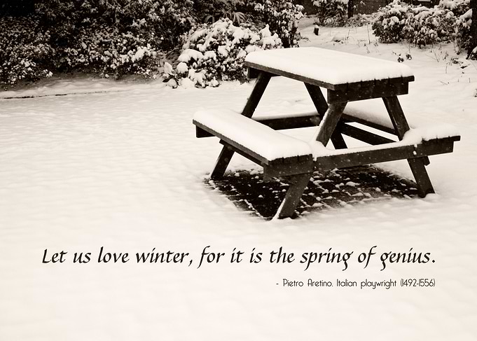 Winter at the Park with a Snow-Covered Table - Last win ...