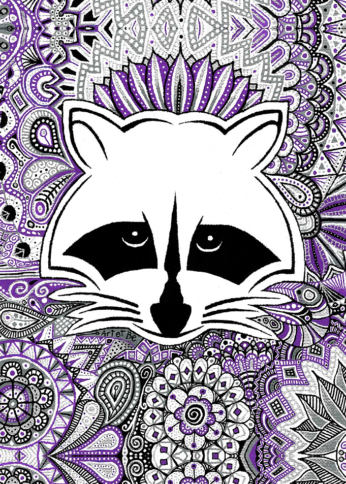 raccon, pet, animal, raton, laveur, indian, indien, pur ...