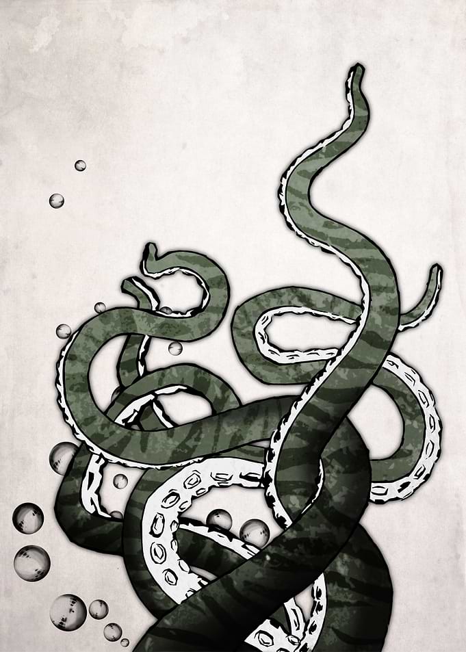 Octopus Tentacles