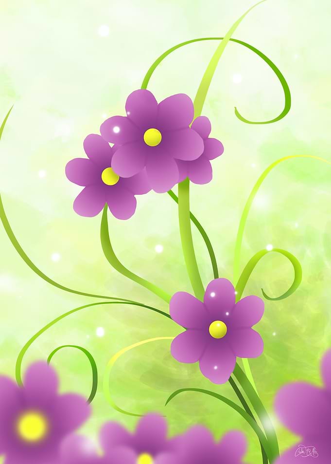 Purple flowers to enlight