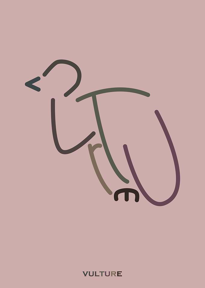 v- vulture