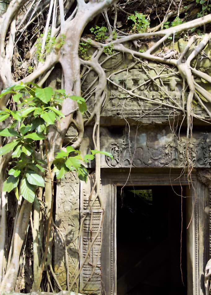 Angkor Wat Tomb Raider Entrance