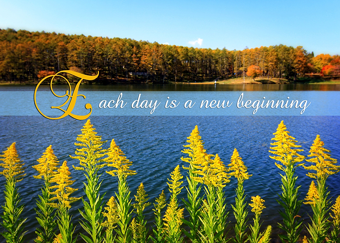Canada Goldenrod Autumn Lake Blue Waters Landscape - A ...