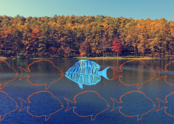 Don’t Be Afraid to Go Against the Flow Fish in Autumn L ...