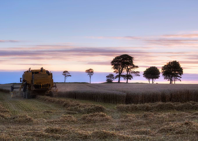 harvest in late summer in South West England