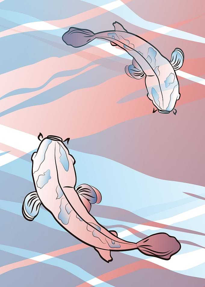 Oriental koi fishes