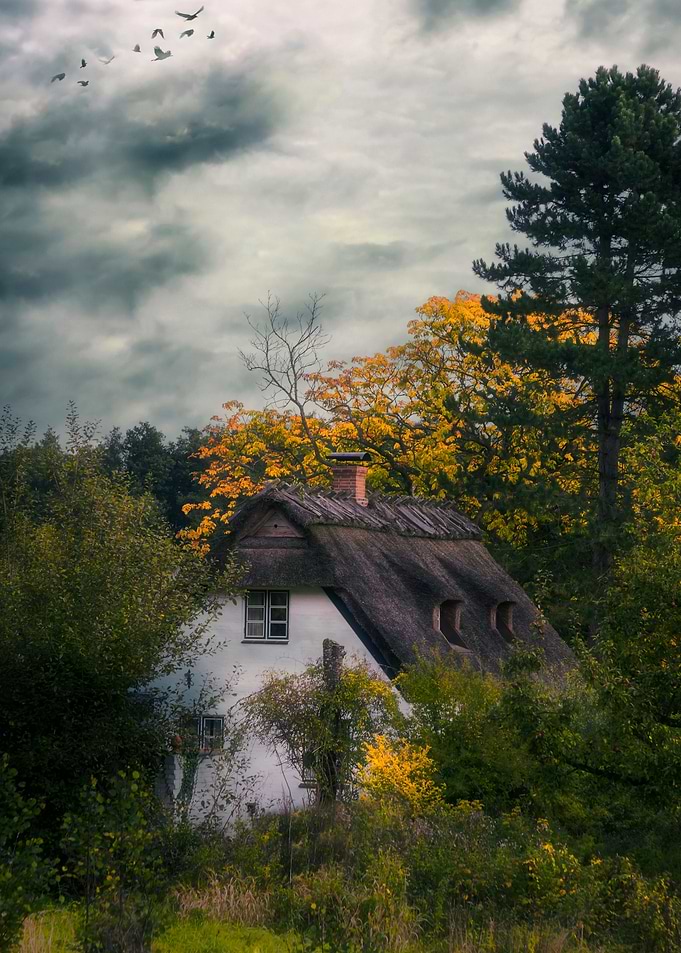 a witch cottage in the woods