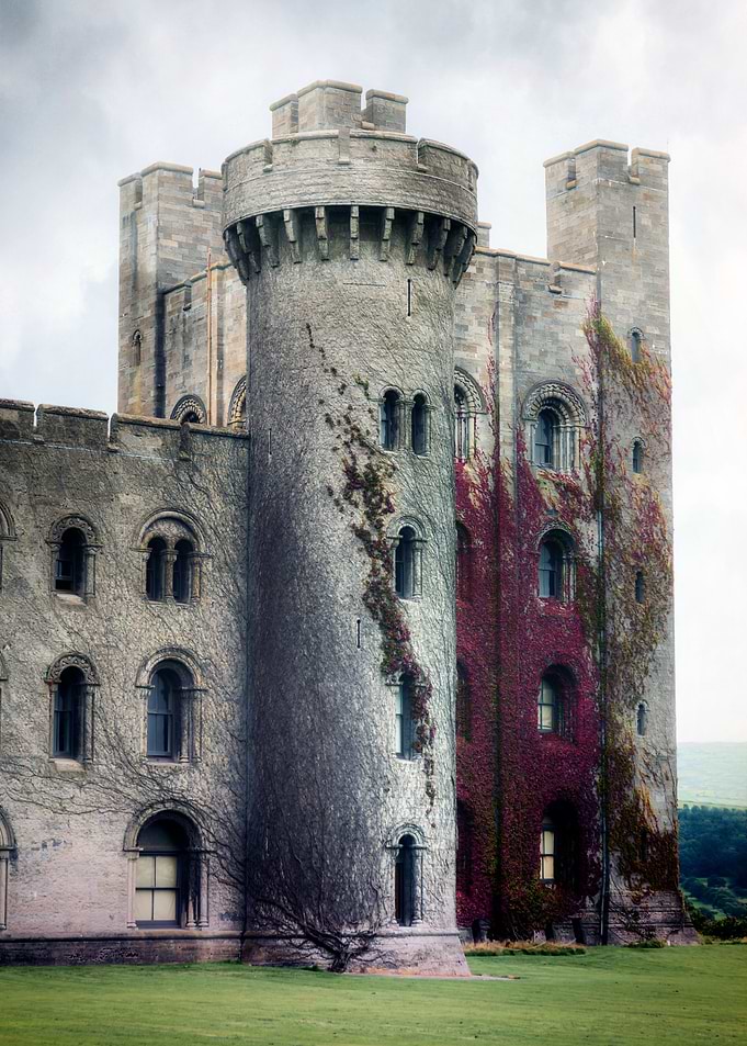 a castle with ivy on its tower