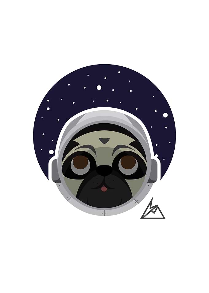 Astro pug - Maira Blanco Art Instagram: @mairablancoart ...