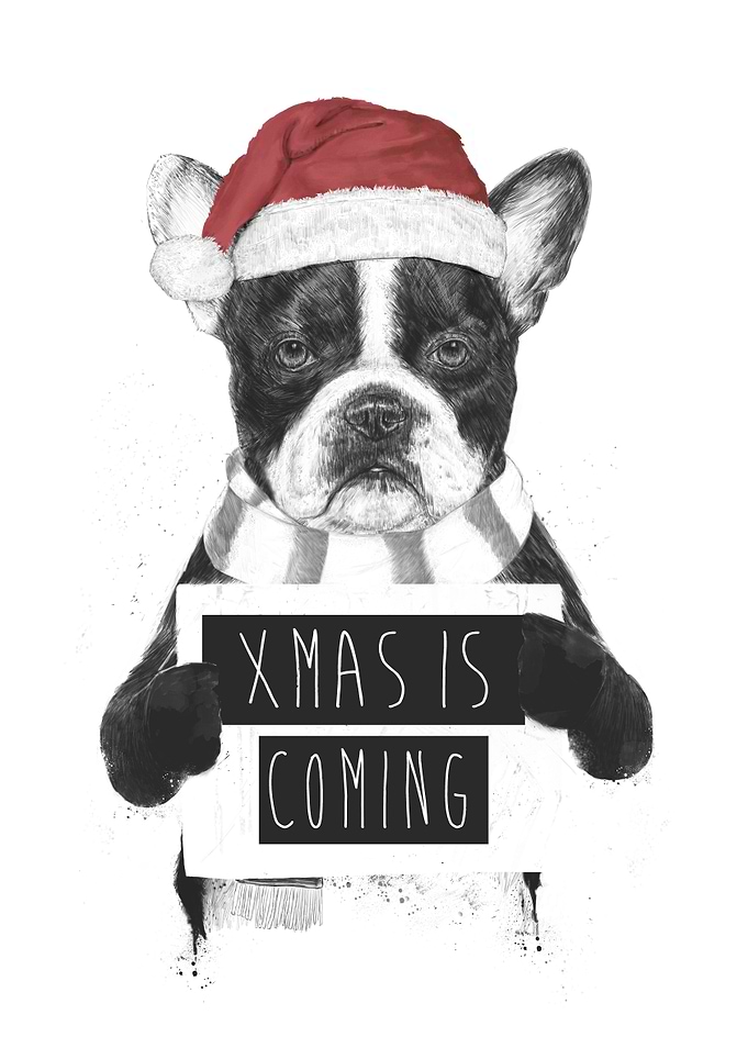 Xmas is coming