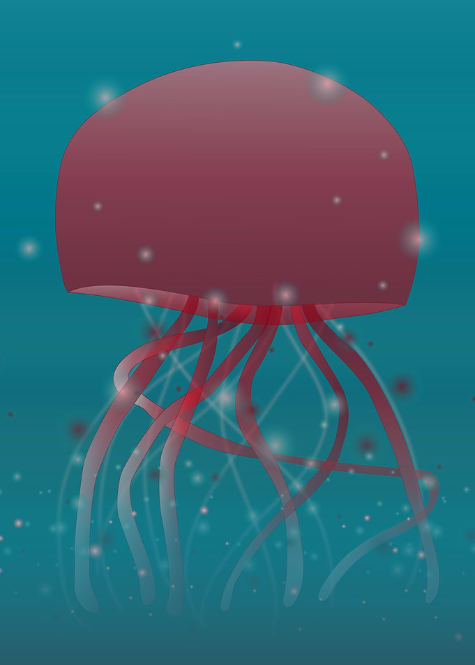Big Jellyfish