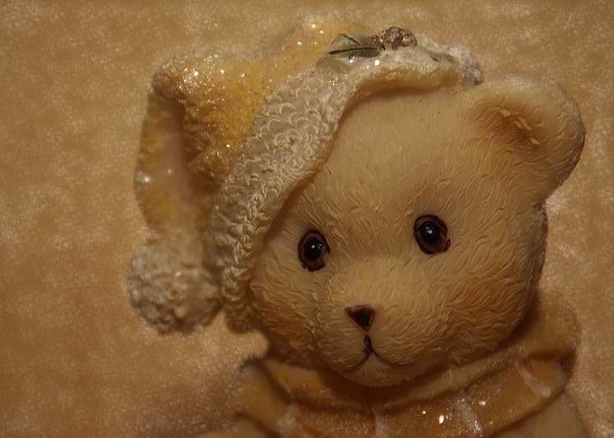 Photography of a cute christmas teddy