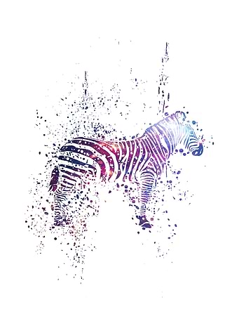 Cosmic Zebra
