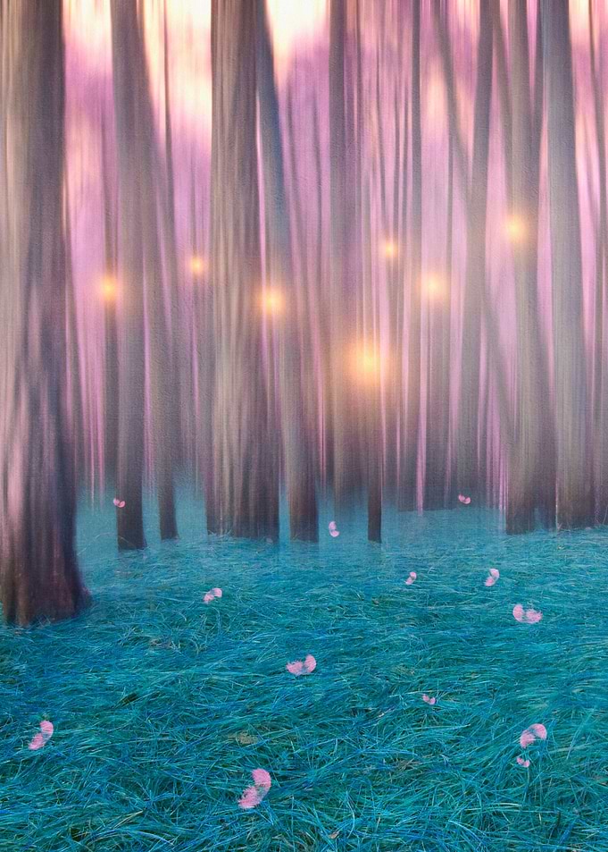 Pink feather dance