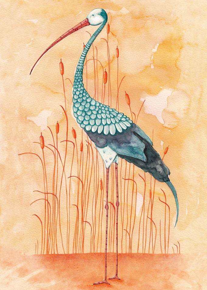 An Exotic Stork