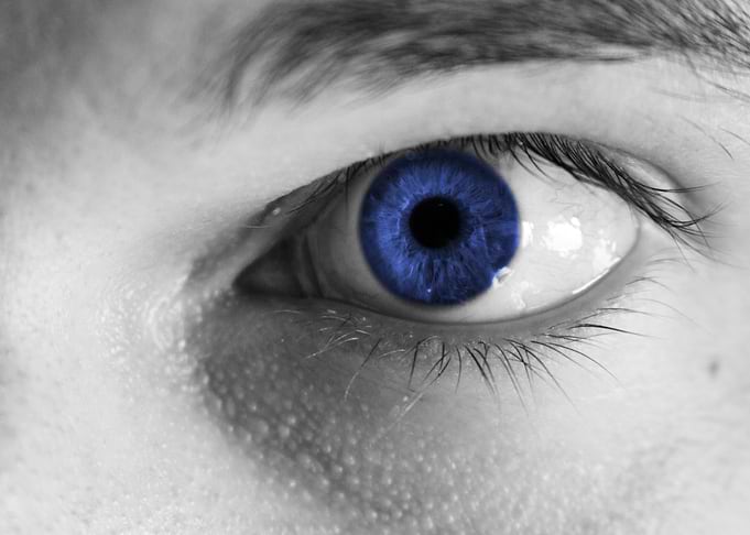 The colourful stare