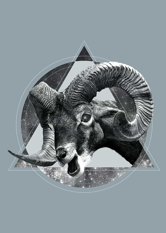 Horns & Space