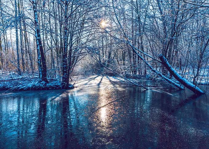 Winter Sun