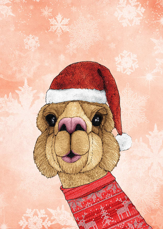 Alpaca Christmas