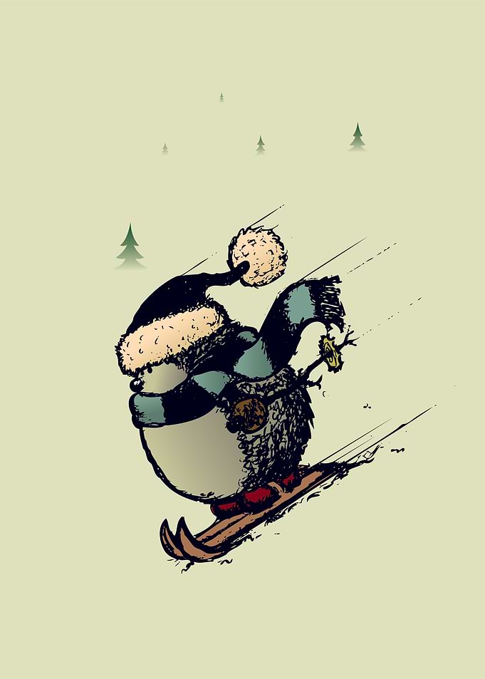Skier