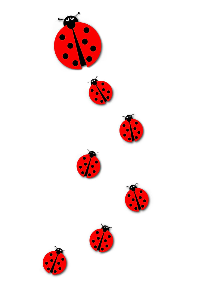Many Ladybugs Background image with many different size ...